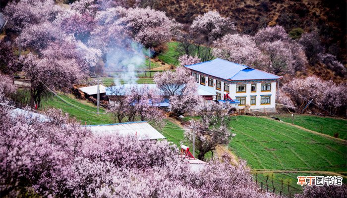 人间四月芳菲尽山寺桃花始盛开哲学原理 人间4月芳菲尽山寺桃花始盛开的原因是什么