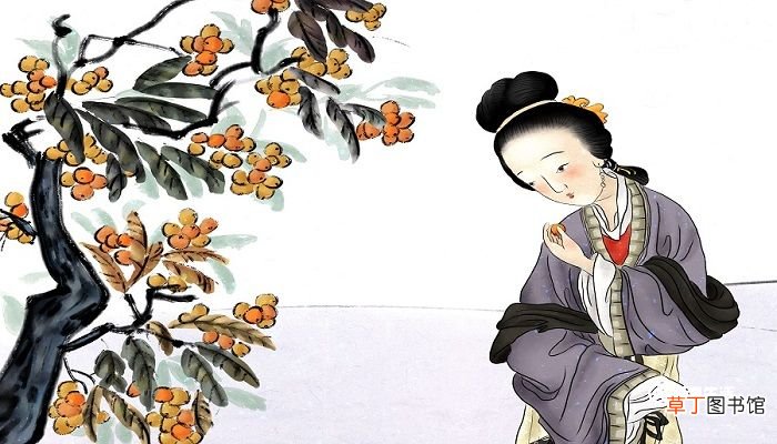 应是绿肥红瘦的绿肥红瘦是什么意思 应是绿肥红瘦指的是什么