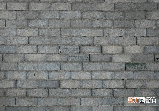 墙壁发霉怎么处理？如何防止墙壁发霉