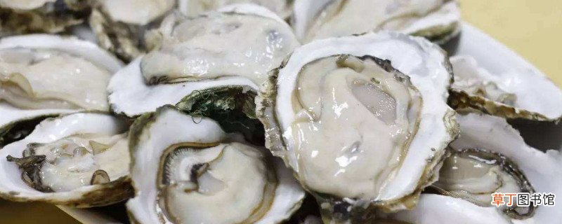 买了一箱生蚝怎么保存