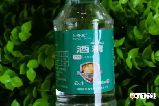 酒精可以杀死尘虱吗