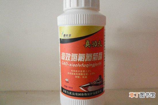 酒精可以杀死尘虱吗