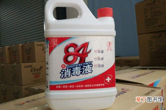 怎么去除吊顶小白肉虫