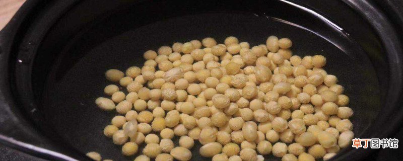 黄豆性寒还是性温