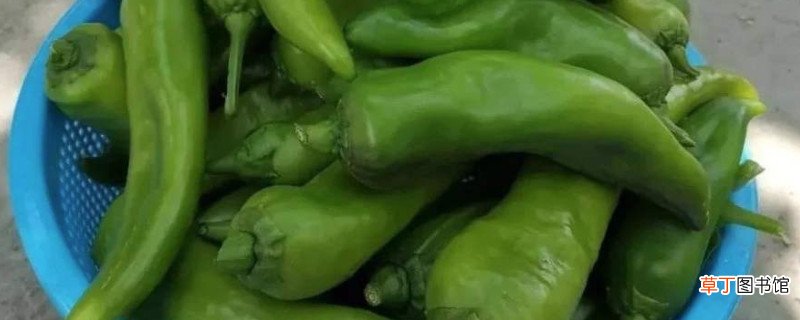 青辣椒吃不完怎么处理