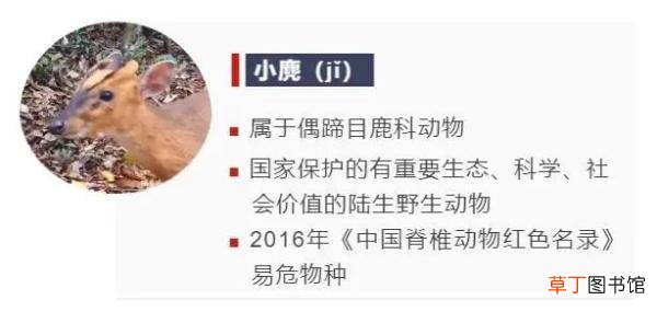 3号字体对应几号pt 3号字体对应几号