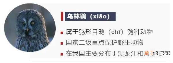 3号字体对应几号pt 3号字体对应几号