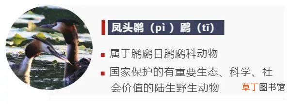 3号字体对应几号pt 3号字体对应几号