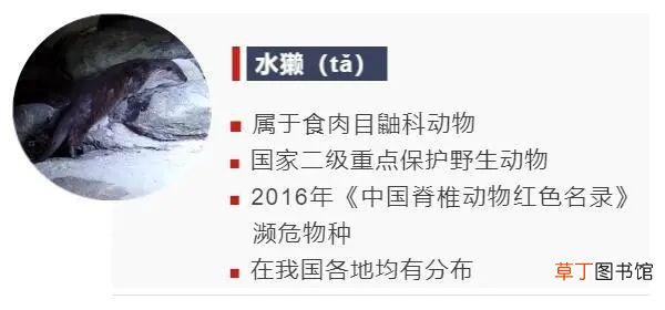 3号字体对应几号pt 3号字体对应几号