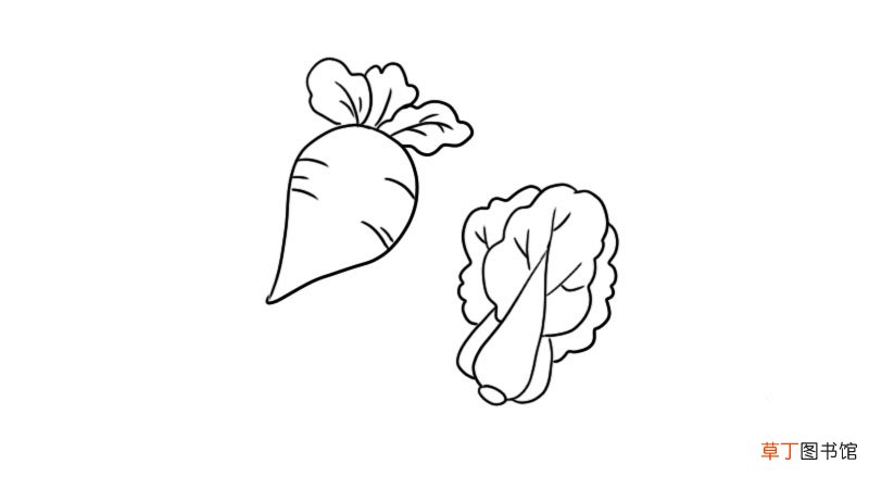 蔬菜简笔画 蔬菜简笔画怎么画