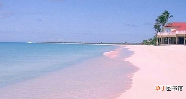 巴哈马粉色沙滩骗局？去巴哈马旅游10大注意事项