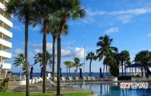 巴哈马粉色沙滩骗局？去巴哈马旅游10大注意事项