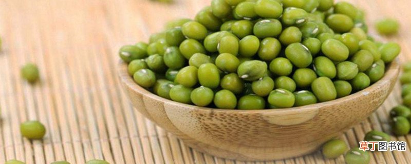 木耳和绿豆能一起吃吗