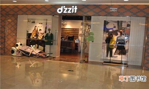 dzzit和dazzle什么区别
