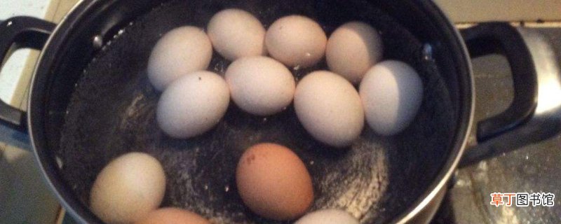 鸡蛋和海鲜可以一起吃吗