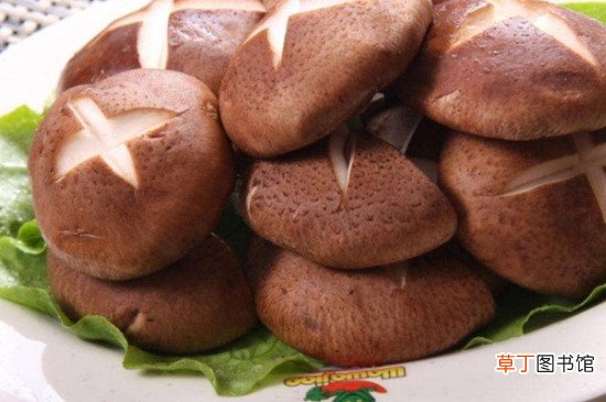 茄子和香菇能一起吃吗