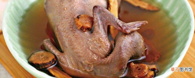 牛肝菌不能和什么一起吃