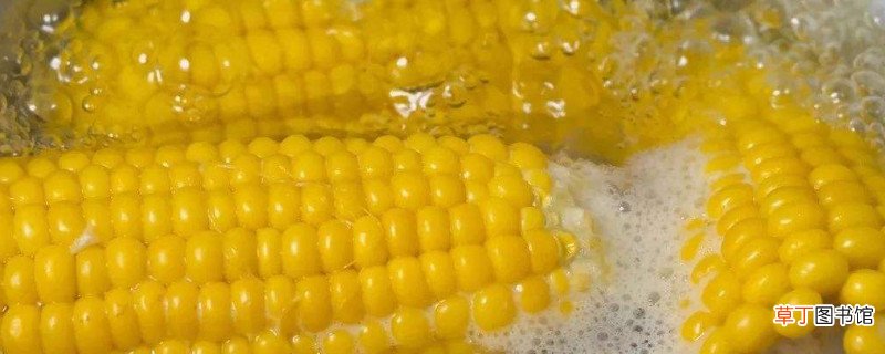煮熟玉米放冰箱第二天能吃吗