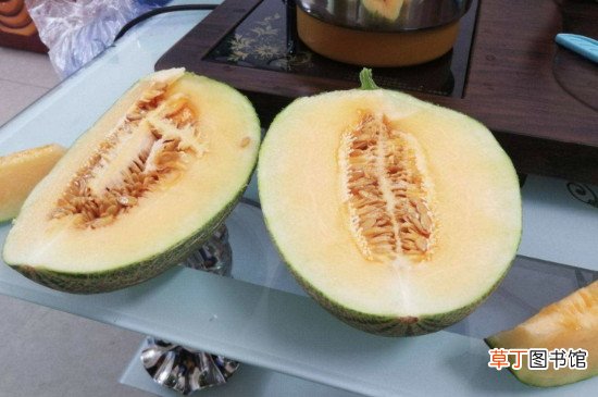 哈蜜瓜上火吗