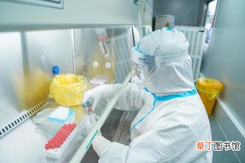 31省新增13例确诊 31省区市新增13例确诊均为境外输入