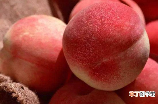 桃子能空腹食用吗