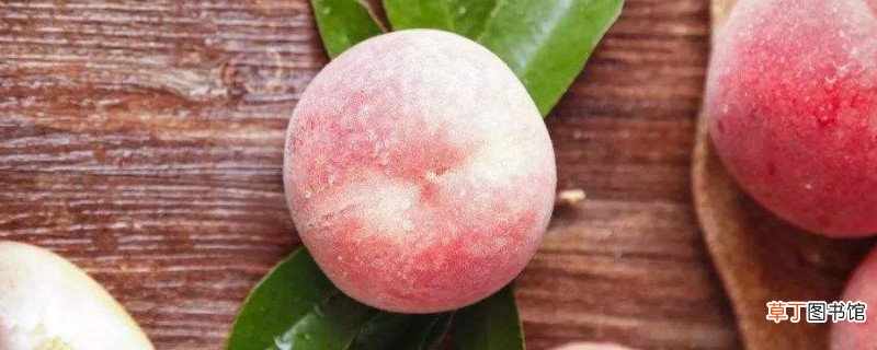 桃子能空腹食用吗