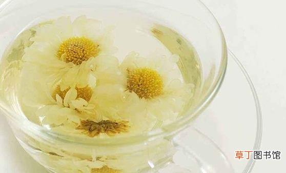 茉莉花能改善生活中的身体不适 关于茉莉花的药用功效