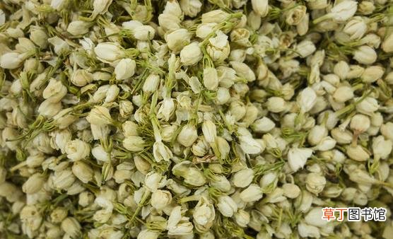 茉莉花能改善生活中的身体不适 关于茉莉花的药用功效