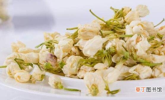 茉莉花能改善生活中的身体不适 关于茉莉花的药用功效