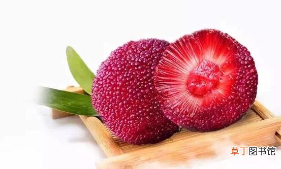 杨梅有果中玛瑙之誉 杨梅的食用禁忌