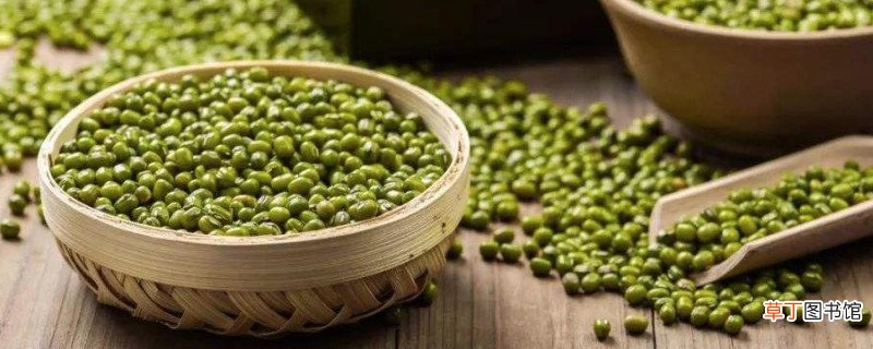 绿豆和蜂蜜可以一起吃吗