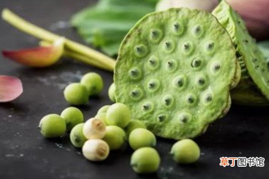 鲜莲子怎么保鲜