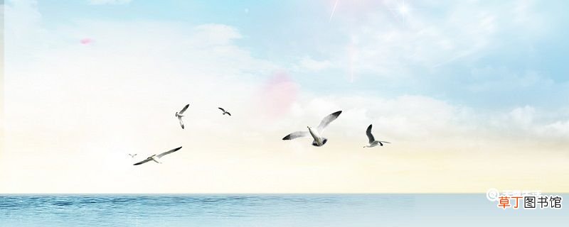 秦皇岛外打鱼船全诗赏析 秦皇岛外打鱼船的全诗