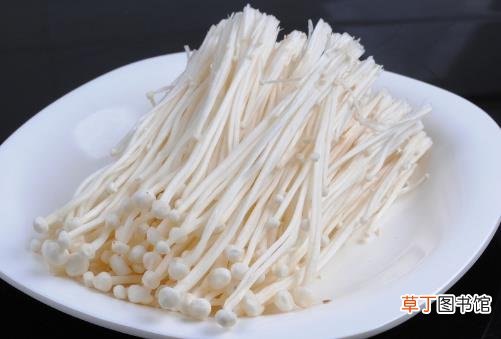 4种常见蘑菇的营养价值 适用于孕妇补充营养