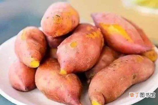 红薯和绿豆可以一起煮稀饭吗