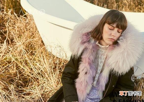 ozlana是什么牌子