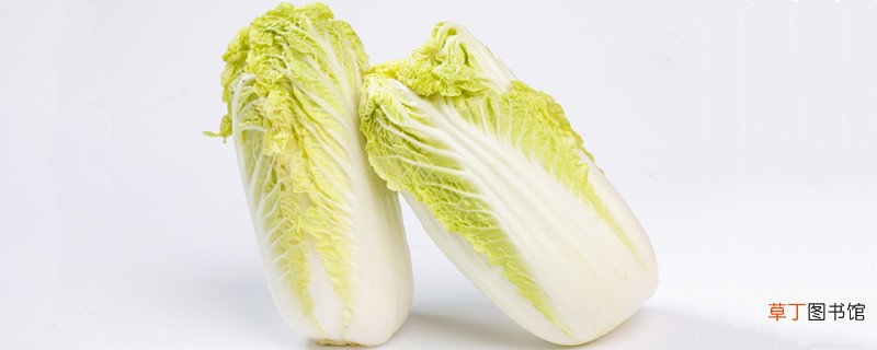 江苏哪里产大白菜 江苏产大白菜的地方