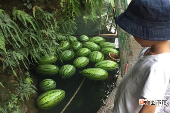 西瓜泡水里一晚上会坏吗