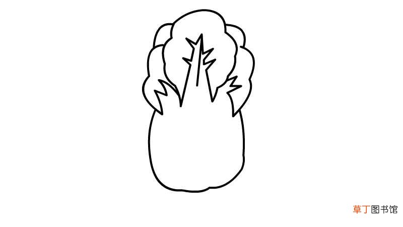 白菜简笔画画法 白菜简笔画