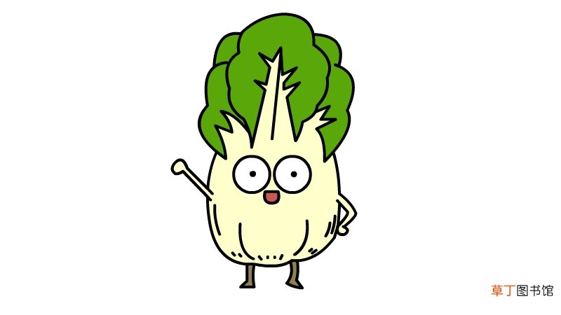 白菜简笔画画法 白菜简笔画