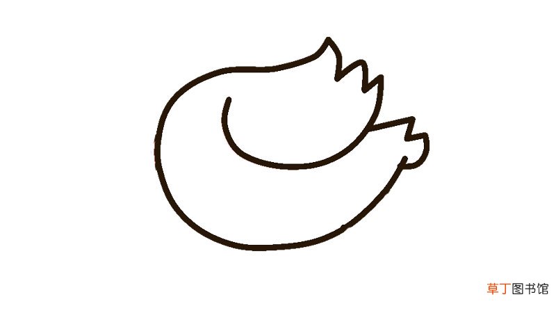 鸟简笔画顺序图片