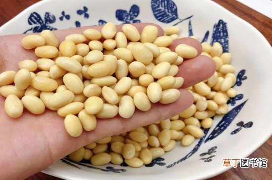 泡好的黄豆放冰箱能放几天
