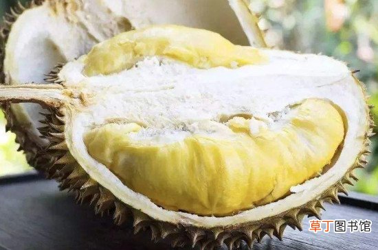 榴莲与牛奶可以一起吃吗