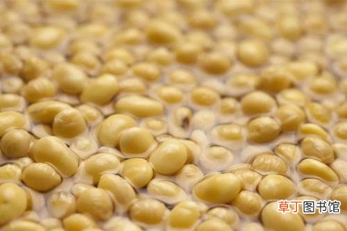 黄豆泡了一天一夜还能吃吗-简短介绍