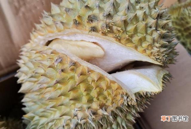 买榴莲怎么挑选皮薄肉厚的 榴莲怎么挑选肉多饱满的