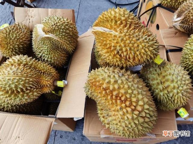 买榴莲怎么挑选皮薄肉厚的 榴莲怎么挑选肉多饱满的