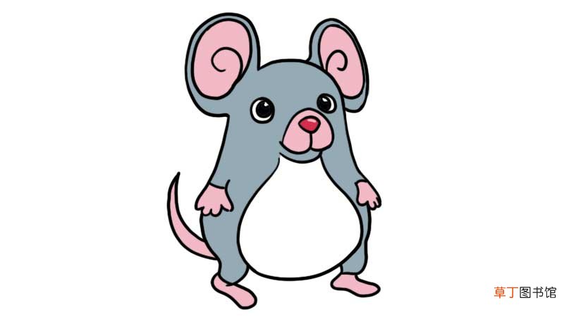 小胖鼠简笔画 小胖鼠简笔画怎么画