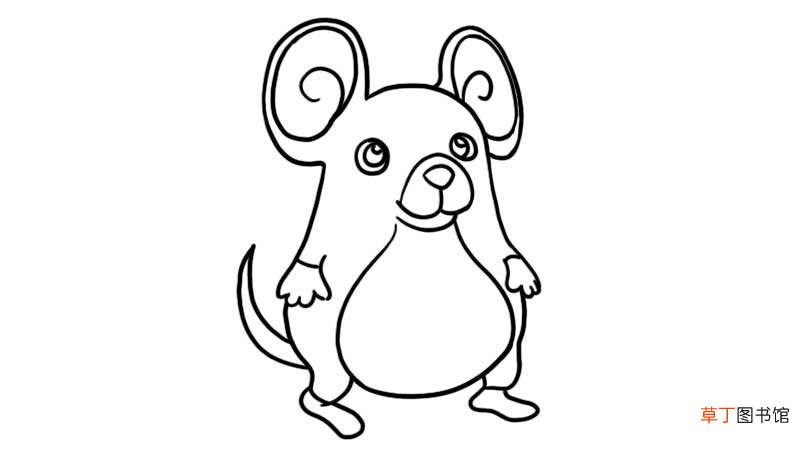 小胖鼠简笔画 小胖鼠简笔画怎么画