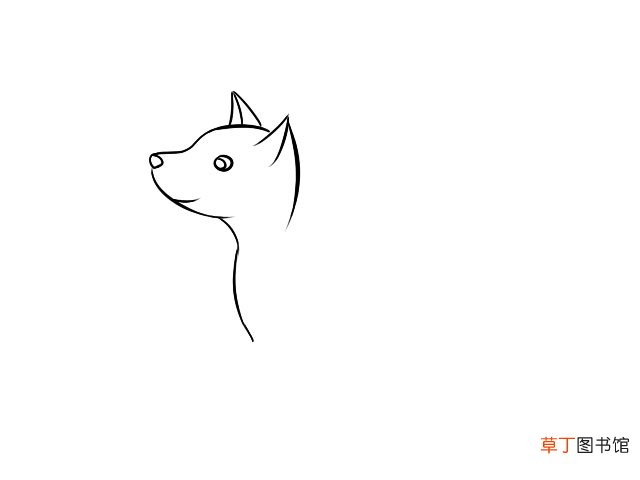 狐狸简笔画 零基础学狐狸简笔画