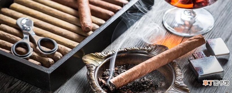 雪茄发霉了还能抽吗